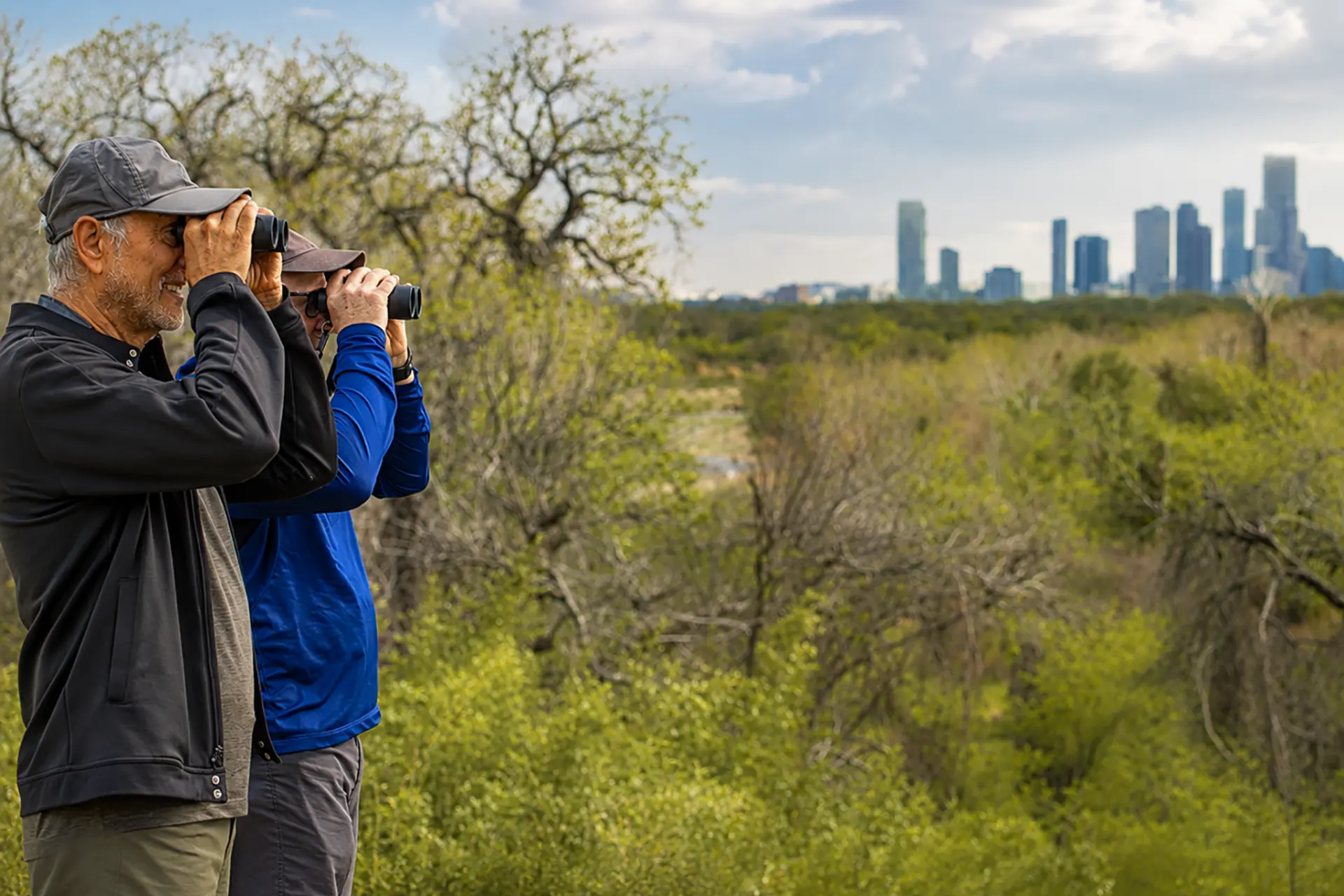 Two people with binoculars watching birds from the bluff, downtown Austin skyline beyond the canopy