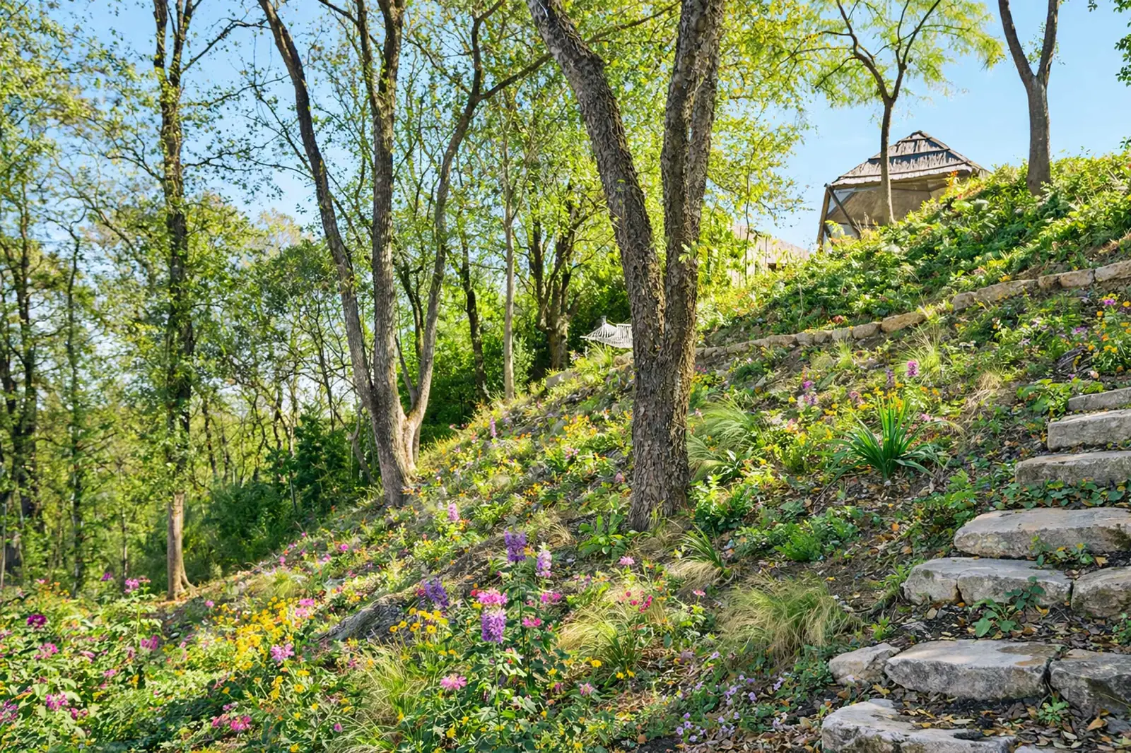 A private urban nature setting with Austin just beyond the trees